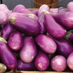 Eggplant